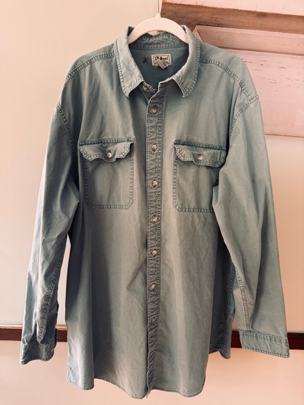 Vintage L.L. Bean Light Green Casual Button-Down Shirt